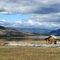 Longboats at Swan Lake, Vernon, B.C.