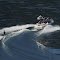 water skiing IV