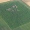 maizemaze