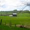 Spring in The Beaver Valley