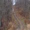 Bruce Trail