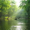 Paddling the Beaver River