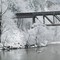 Nisqually River Trestle