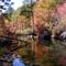 Little River west fork 2