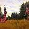 Memorial flags