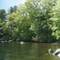 Horn Pond