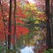 New England Fall 03