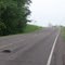 Common Snapping Turtle (Chelydra serpentina) Crossing the Road