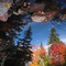 Reflections of Autumn
