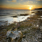 On the Shore of the St Mary's
