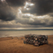 Stormy Skies at Pointe Des Chenes