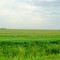 Looking Northeast over farm country north of Winnipeg July 5, 2008