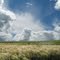 Sea of grass