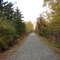 Salt Marsh Trail