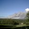 Forest fire