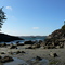 Tofino