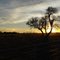 Prairie Sunset