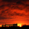 Sunrise over Calgary