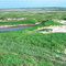 Sand Dunes at Brador