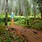 Start of White Pine Trail (part of the Trans Canada Trail)