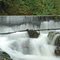 chicken ladder dam