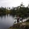 Timberland Lake