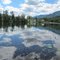 Lily Pads And Mountain Blue On Eleanor Lake In Blue River BC Jul '10
