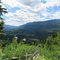 A Stunning View of The North Thompson Valley Naturally Framed From A Logging Road Near Blue River BC Jul '10