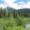 Colourful, Green Forest And Wondrous Mountains Near Blue River BC Jul '10