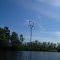 Power lines in Bayou Sara