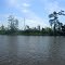 Vistas from Bayou Sara