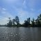 Scenic Bayou Sara