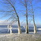 Brrrrrr .... au Parc Stoney Point (Montréal, Canada)