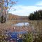 Oromocto Wetland