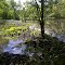 second beaver dam