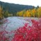 Tulameen Fall