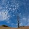 Clouds and Tree