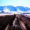 Fairbanks-Anchorage Hwy, near Cantwell, April 1972