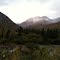 Fall colors of Denali National Park