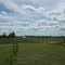 Jabulani Vineyard