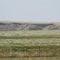 Prairie Greenery, Empress, Alberta