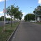 North along 97 Street and service road