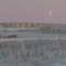 Inuvik Airport in November