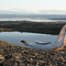 Caribou jaw bone, Arctic evening Sun