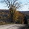 Fall Colours