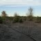 California Runner Fire Rehabilitation