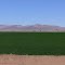 Blythe, California