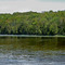 Maitland River in June
