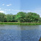 On the River at the Falls Reserve Conservation Area
