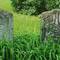 AI: Pentland Cemetery -- gravestones from the 1800's